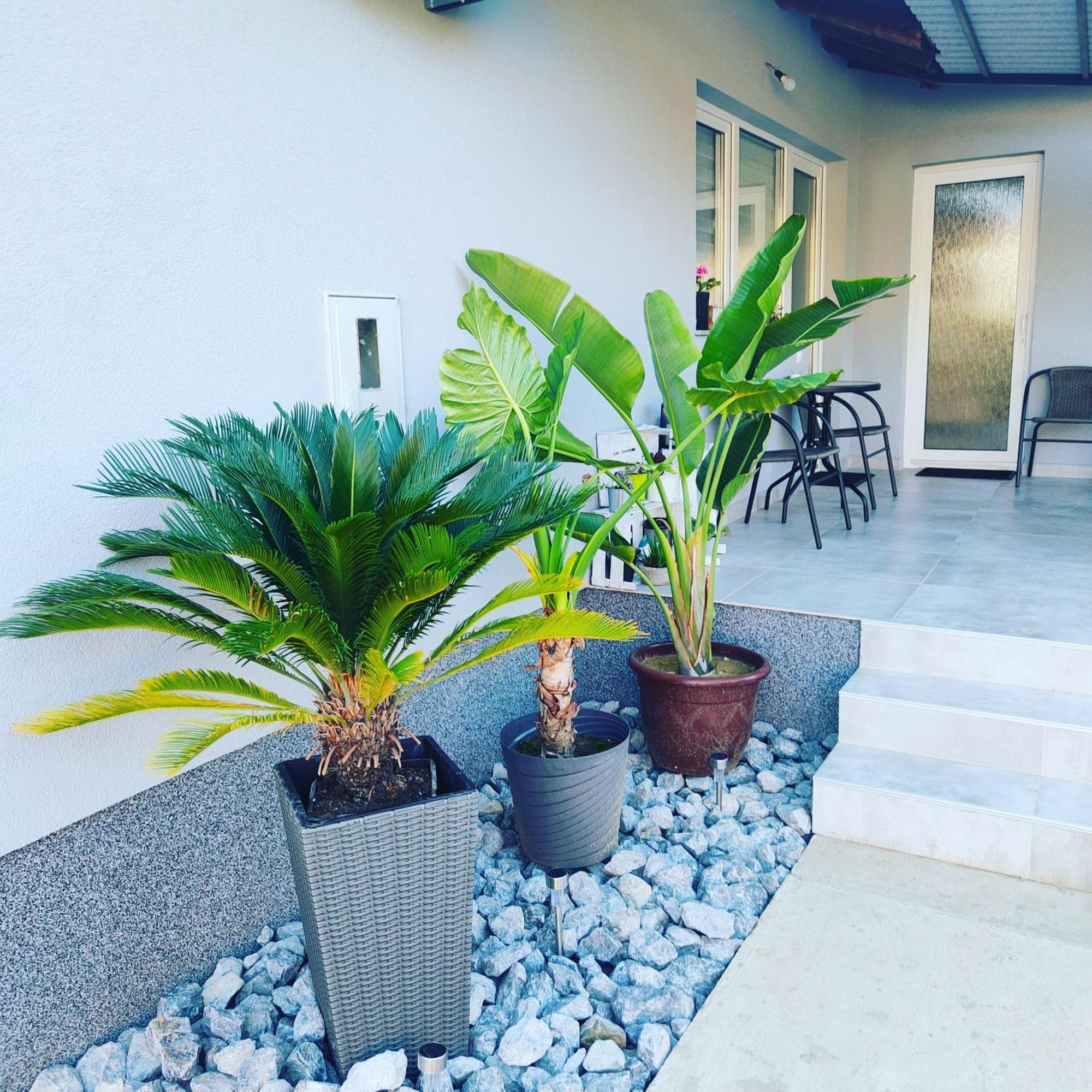 Apartmani Sun & Moon Bjelovar Ngoại thất bức ảnh